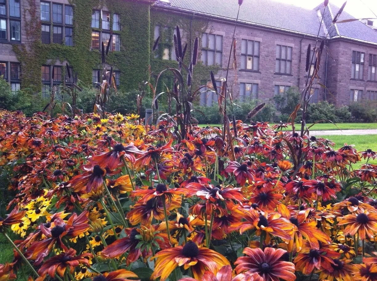 Botanisk hage oslo omvisning