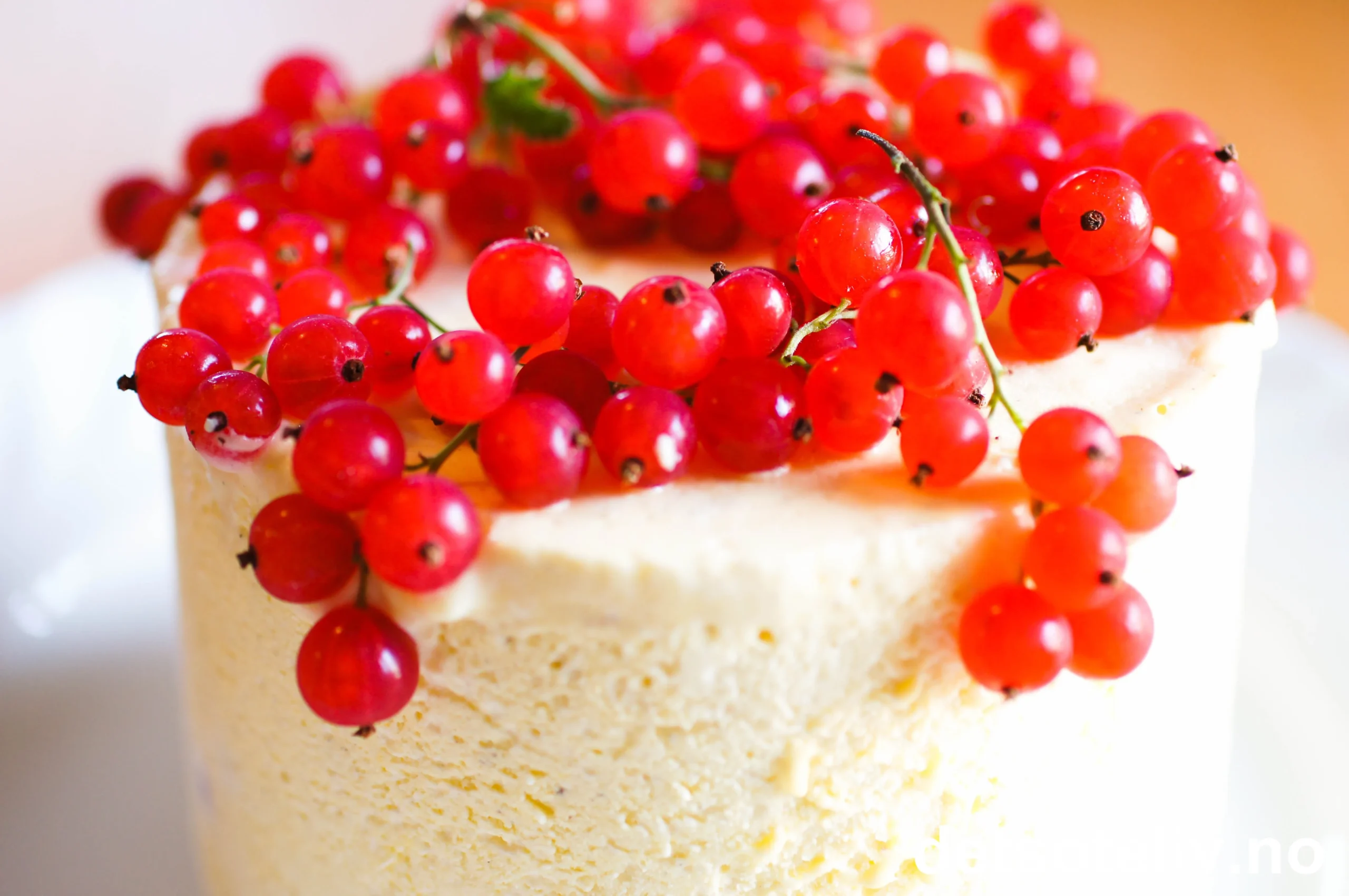 Oppskrifter med rips