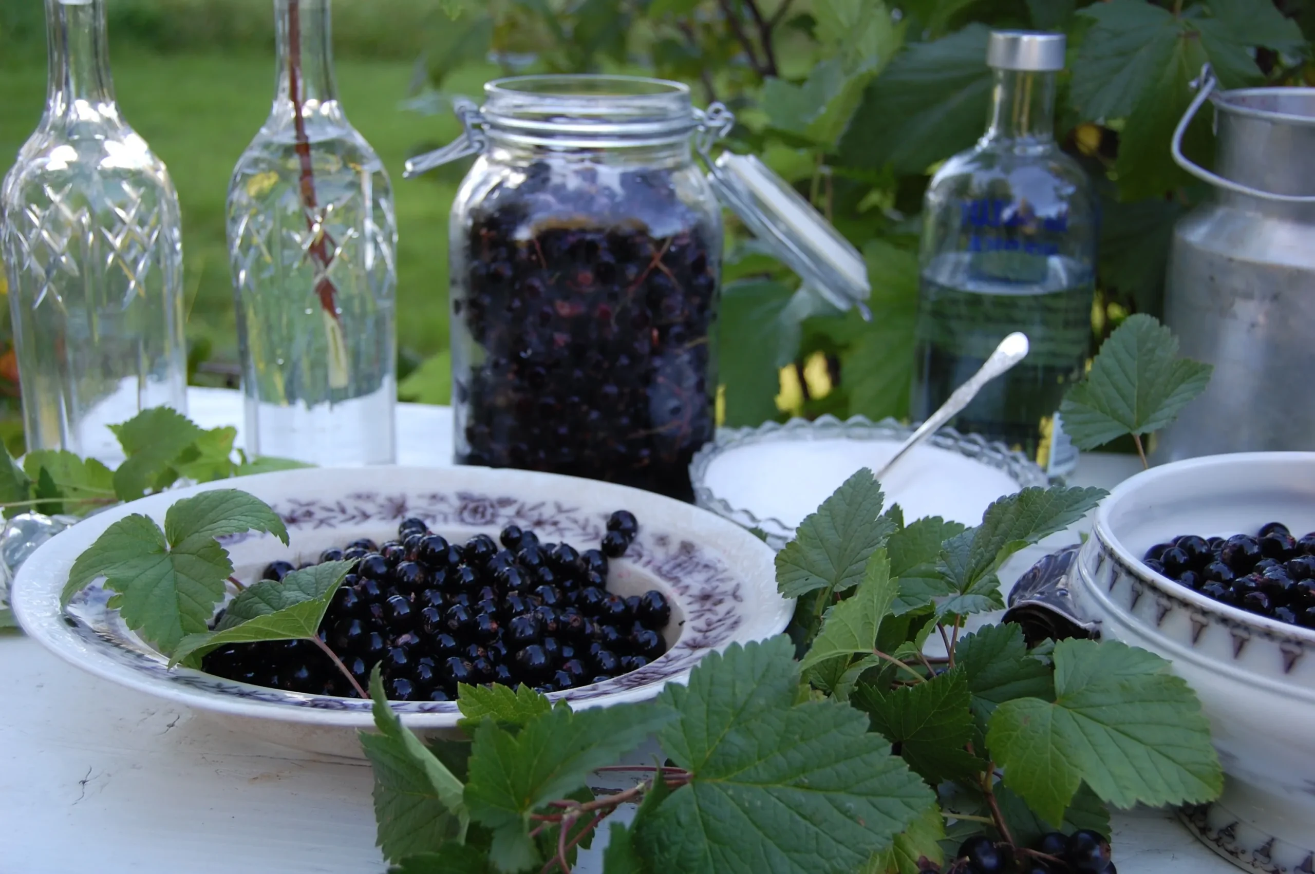 Solbærlikør oppskrift