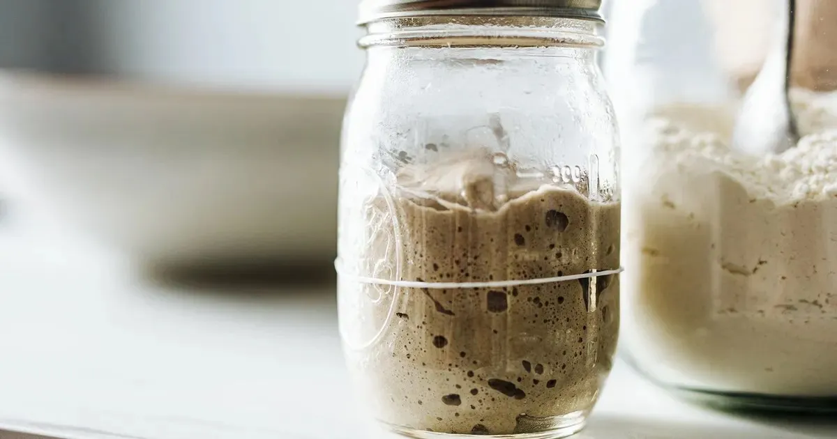 Surdeigsstarter oppskrift