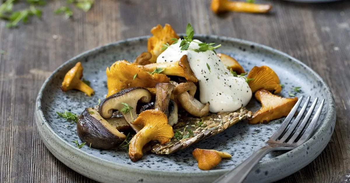 Glutenfri mat oppskrifter