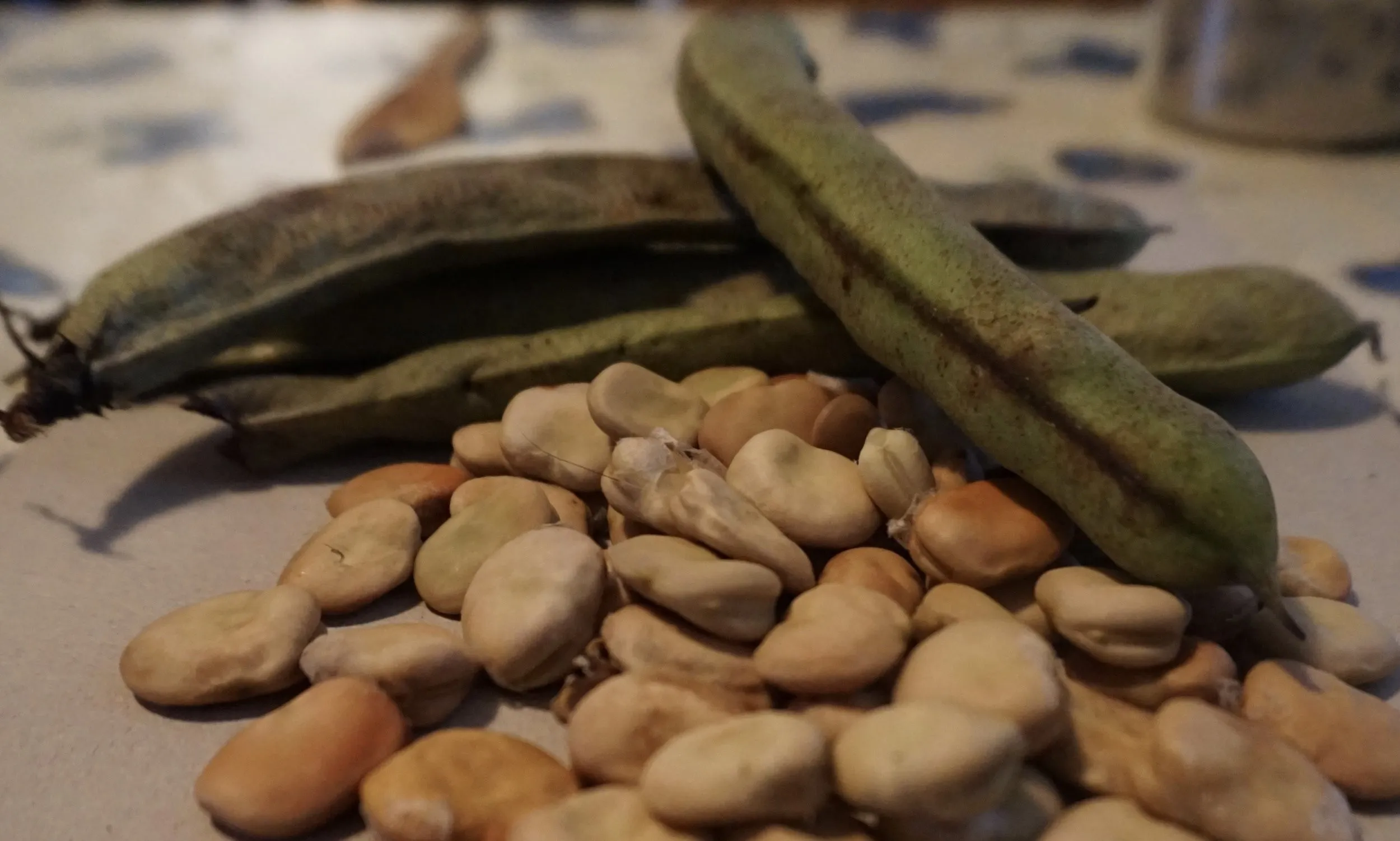 Bondebønner oppskrift