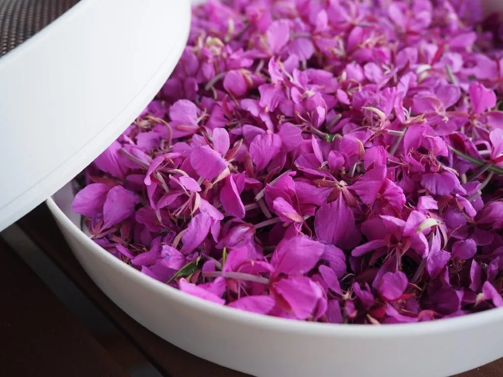 Geitrams te oppskrift