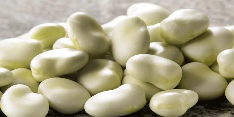 Bondebønner oppskrift