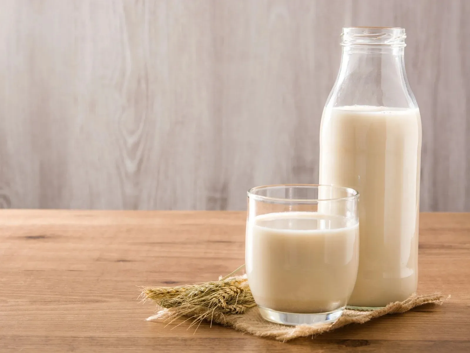 Havremelk oppskrift