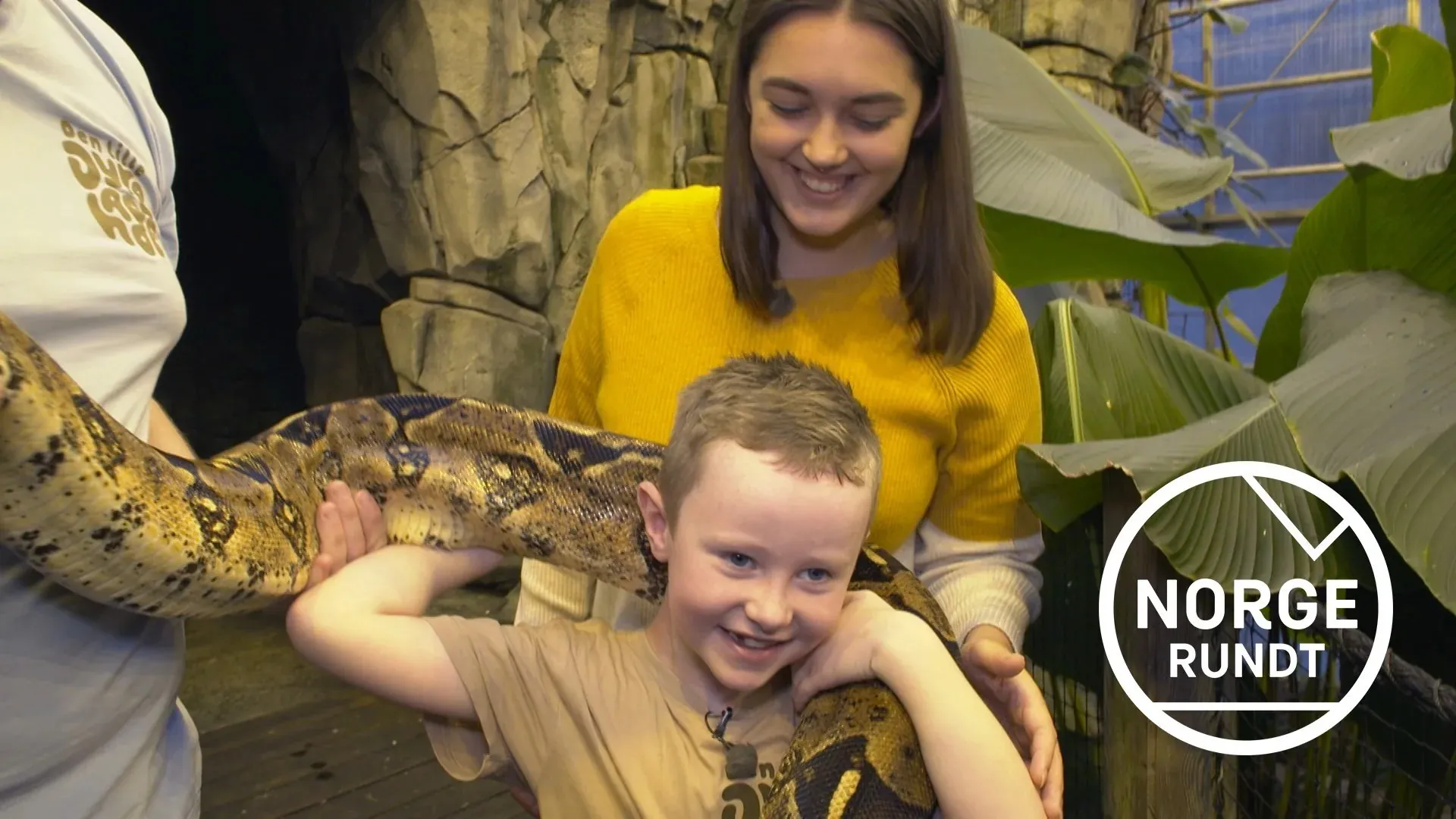 NRK Omvisning 2017, Tilbakeblikk på 2017 – bli med på omvisning hos NRK og se hvordan TV-magien blir til!