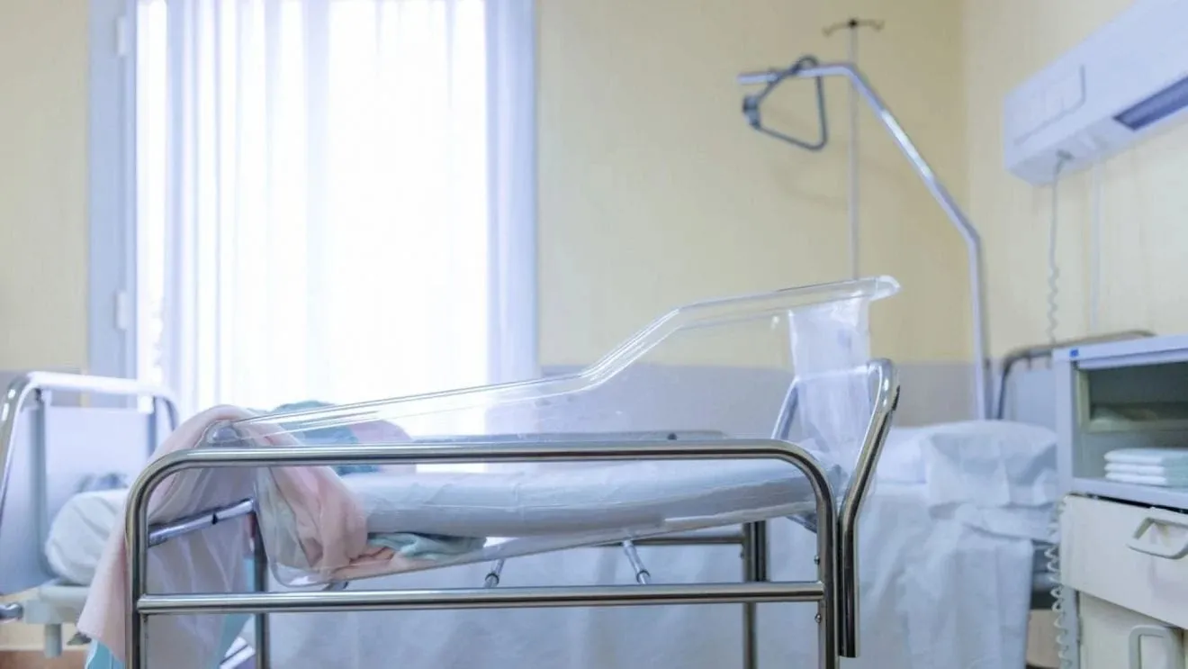 Omvisning føden ahus