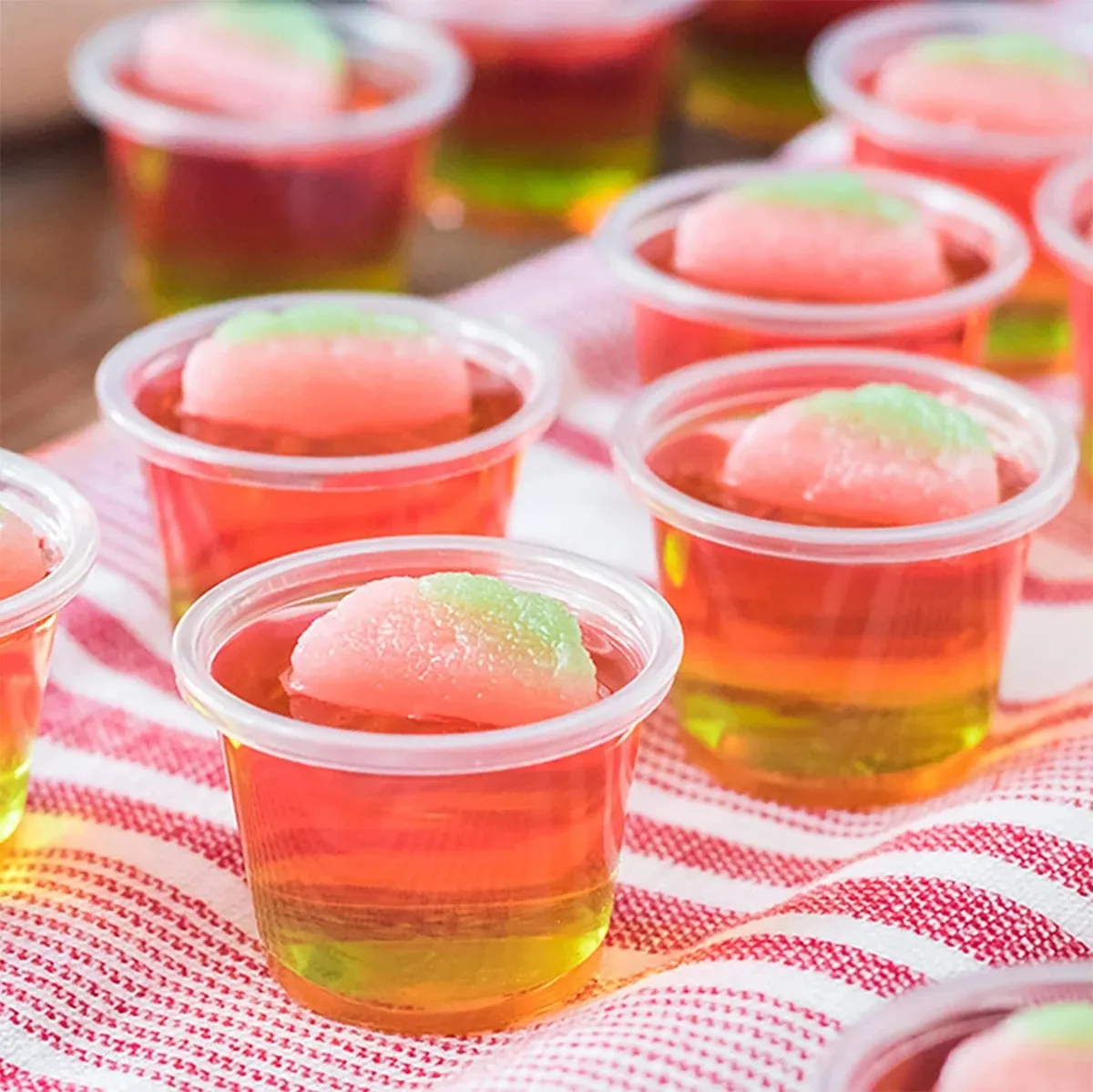 Jello shots oppskrift