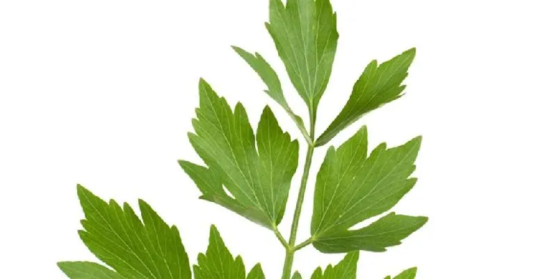 Løpstikke oppskrift