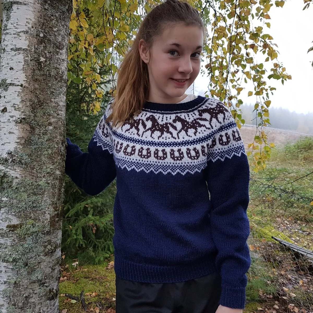 Gratis oppskrift hestegenser