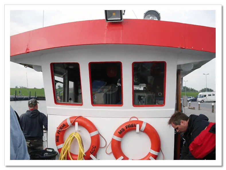 Freia logo vector transparent svg eps 4vector