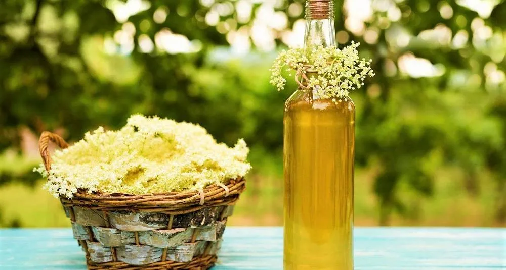 Hylleblomstlikør oppskrift