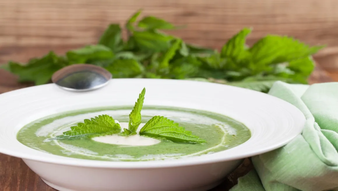 Brenneslesuppe oppskrift