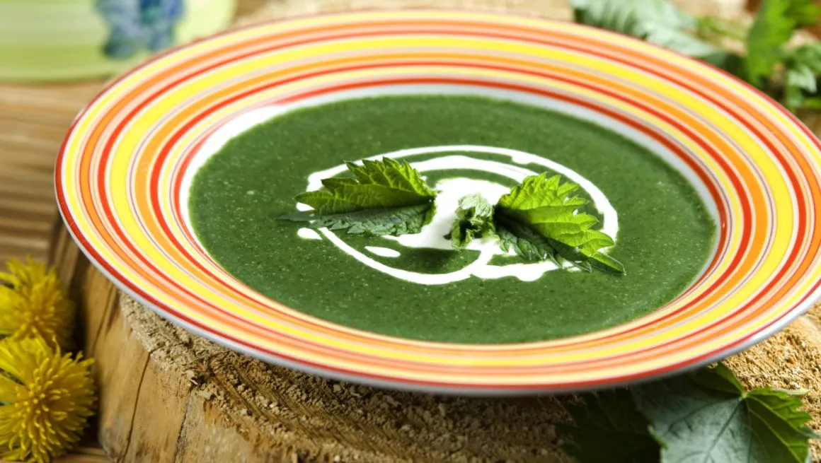 Brenneslesuppe oppskrift