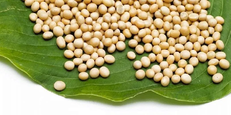 Soyabønner oppskrift