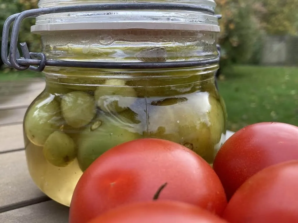 Grønne tomater oppskrift