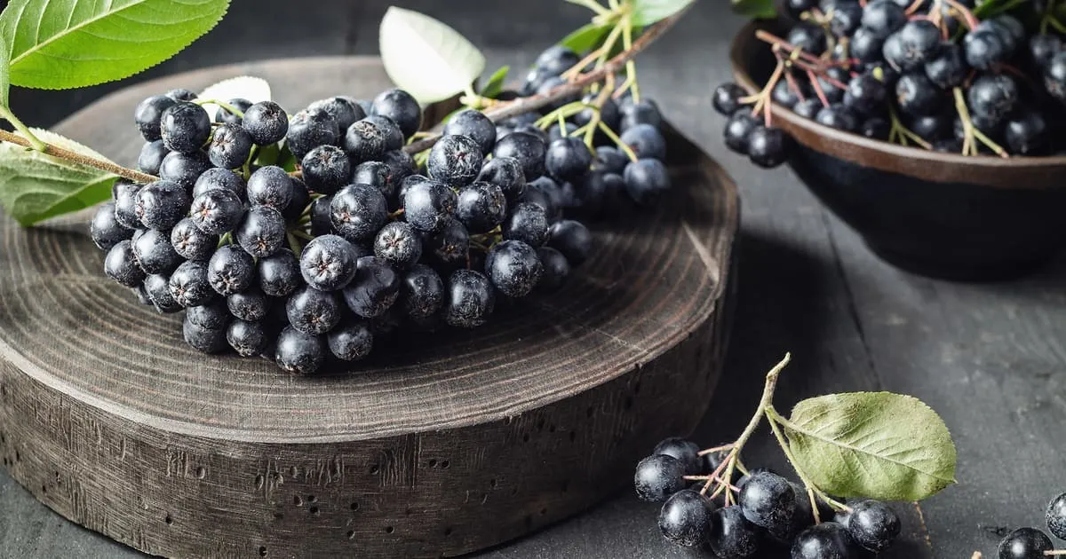 Svartsurbær oppskrift