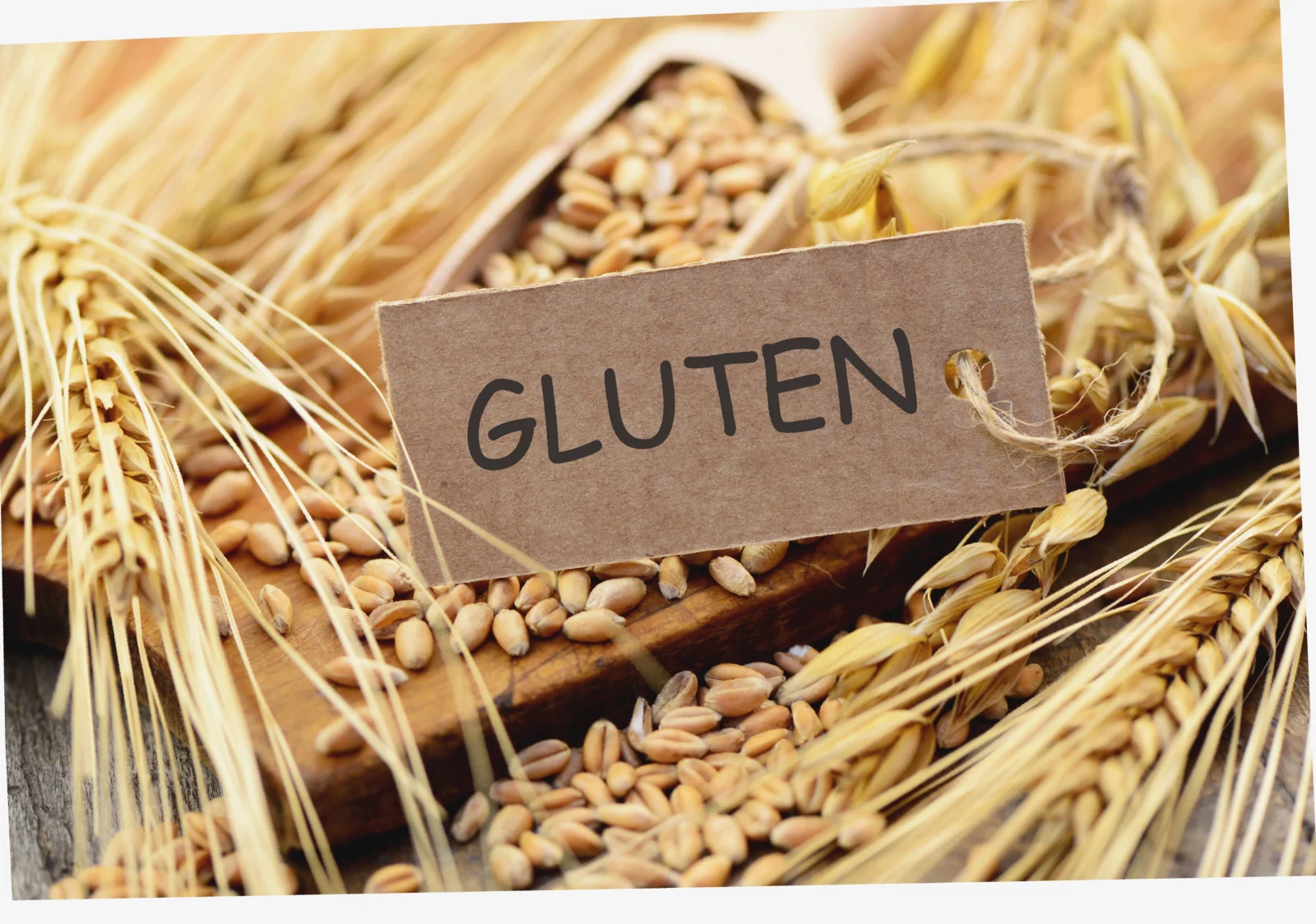 gluten og laktosefri middag