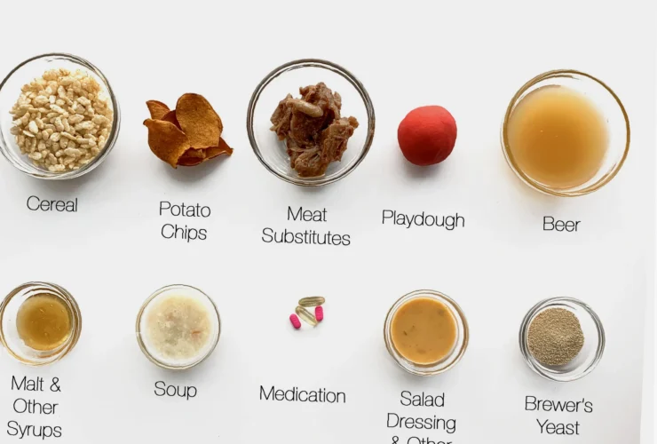 gluten og laktosefri sjokoladekake