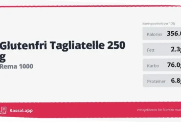 glutenfri ferdigpizza