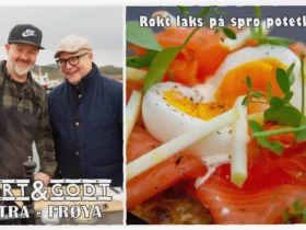 glutenfri potetlefse oppskrift