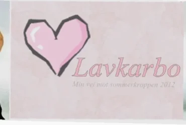 glutenfrie tortilla lefser