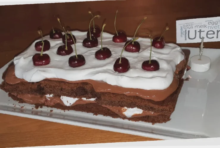 kaker uten melk og gluten