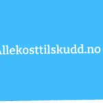 kosttilskudd for veganere