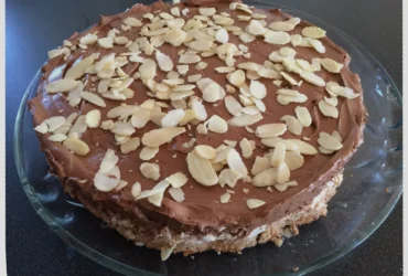 laktose og glutenfri kake