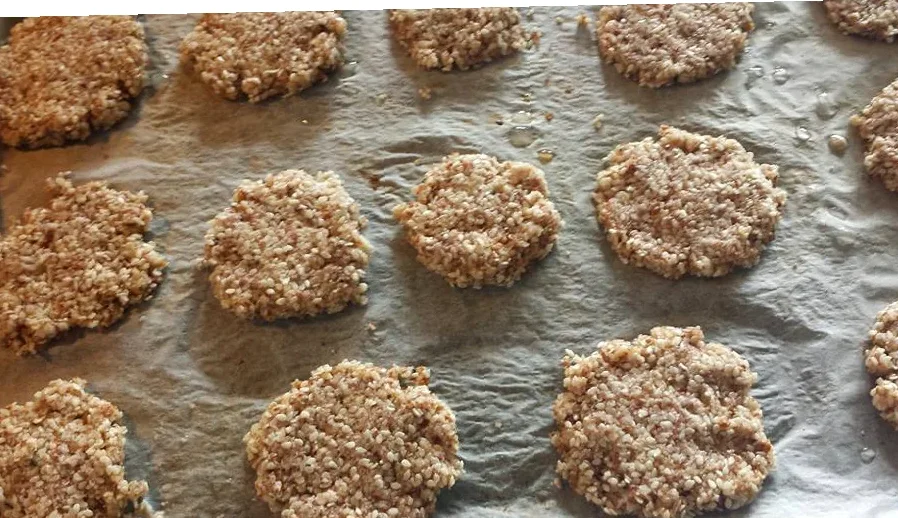 lavkarbo salte kjeks