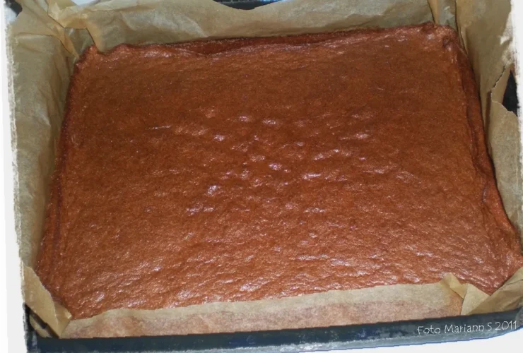 lavkarbo sjokoladekake