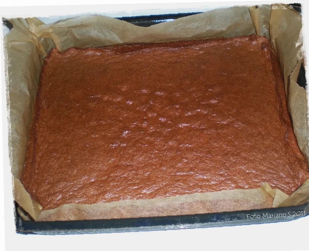 lavkarbo sjokoladekake