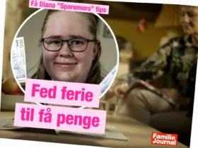 lavkarbo smoothie jordbær