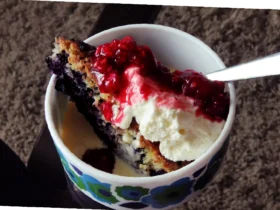 lettvint lavkarbo kake