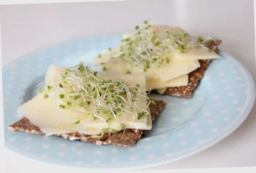 oppskrift knekkebrød lavkarbo