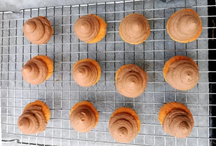 sarah bernard lavkarbo