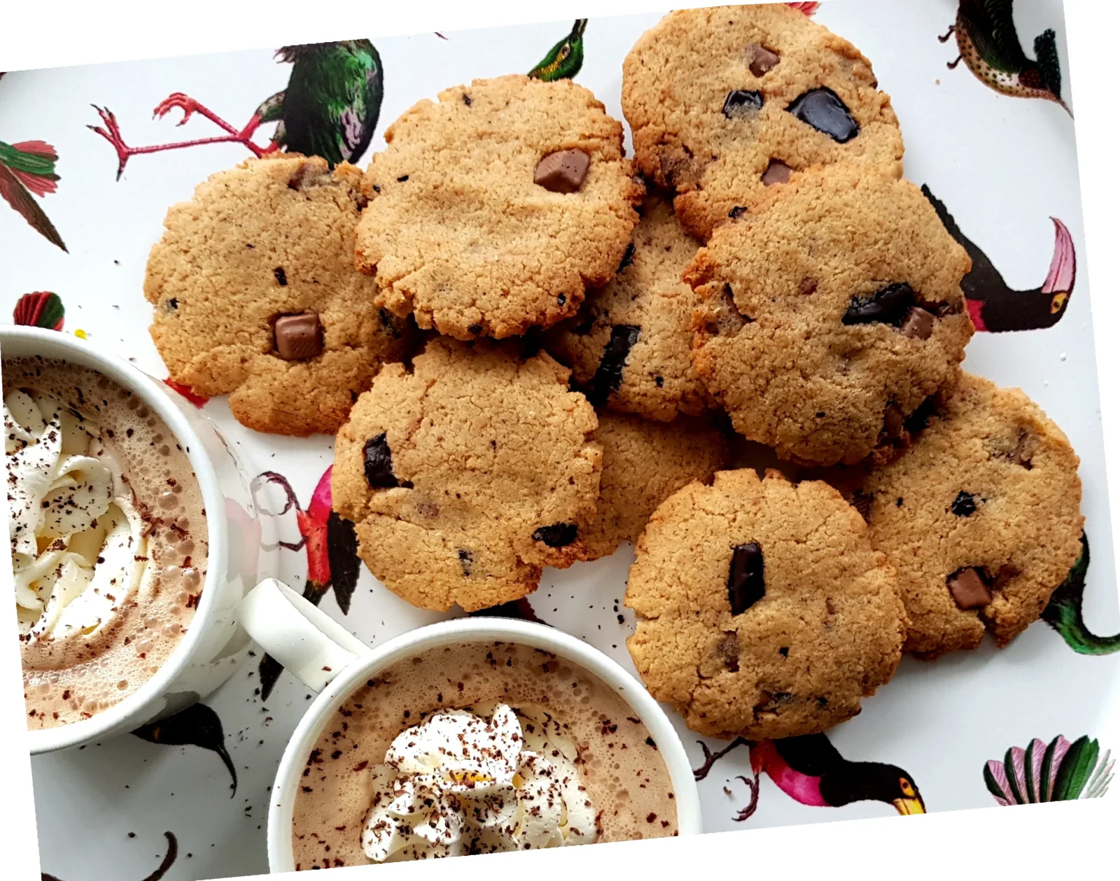 seige cookies lavkarbo