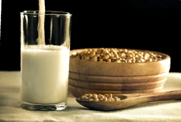 soyamelk laktose