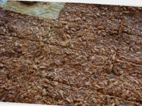 sprø lavkarbo knekkebrød