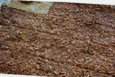 sprø lavkarbo knekkebrød