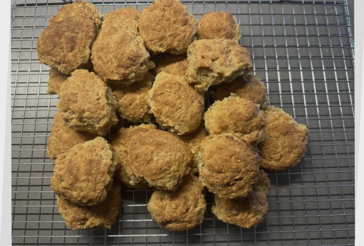 sunne glutenfrie rundstykker