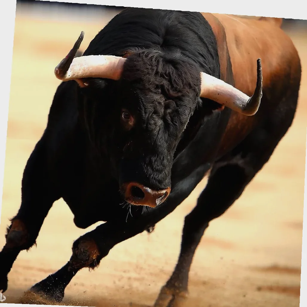 toro glutenfri sjokoladekake