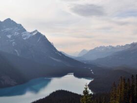 norske strikkeoppskrifter